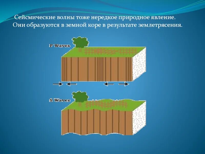 Волна землетрясения. Сейсмические волны. Поперечные сейсмические волны. Типы сейсмических волн. Сейсмические волны землетрясения.