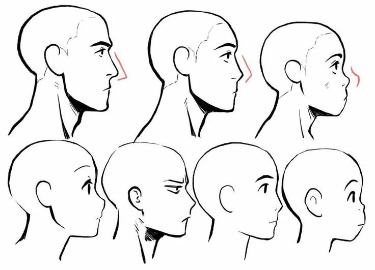 Reference ts