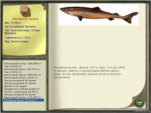 форум акул. русская рыбалка 3. 7. русская рыбалка 3. полярная акула реальная рыбалка.