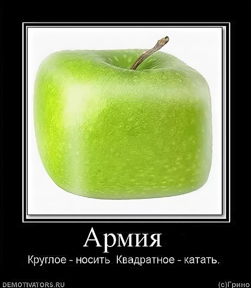 Круглое катить. Круглое несёмквадратное катим. круглое носим квадратное катаем. круглое таскать квадратное катать. круглое катить квадратное толкать.