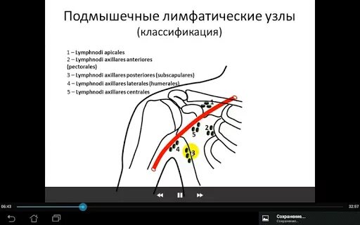 Подмышечные лимфатические узлы расположение у женщин норма Лимфаденопатия (увеличение лимфатических узлов) симптомы и лечение