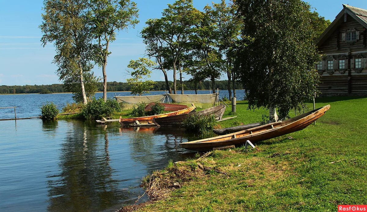 ильвас карелия. карелия август 2023. природа карелии в августе. белое море цветёт. сямозеро карелия.