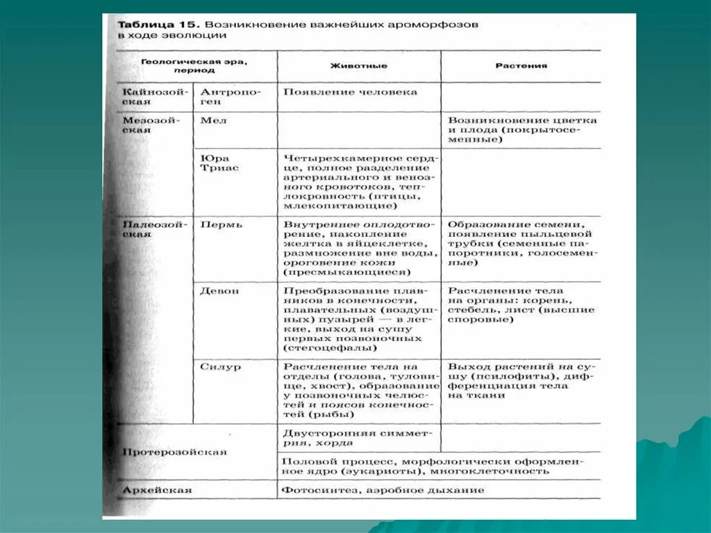 Основные этапы эволюции животных таблица. Таблица по биологии 9 класс Эра период особенности. Этапы развития жизни на земле периоды.