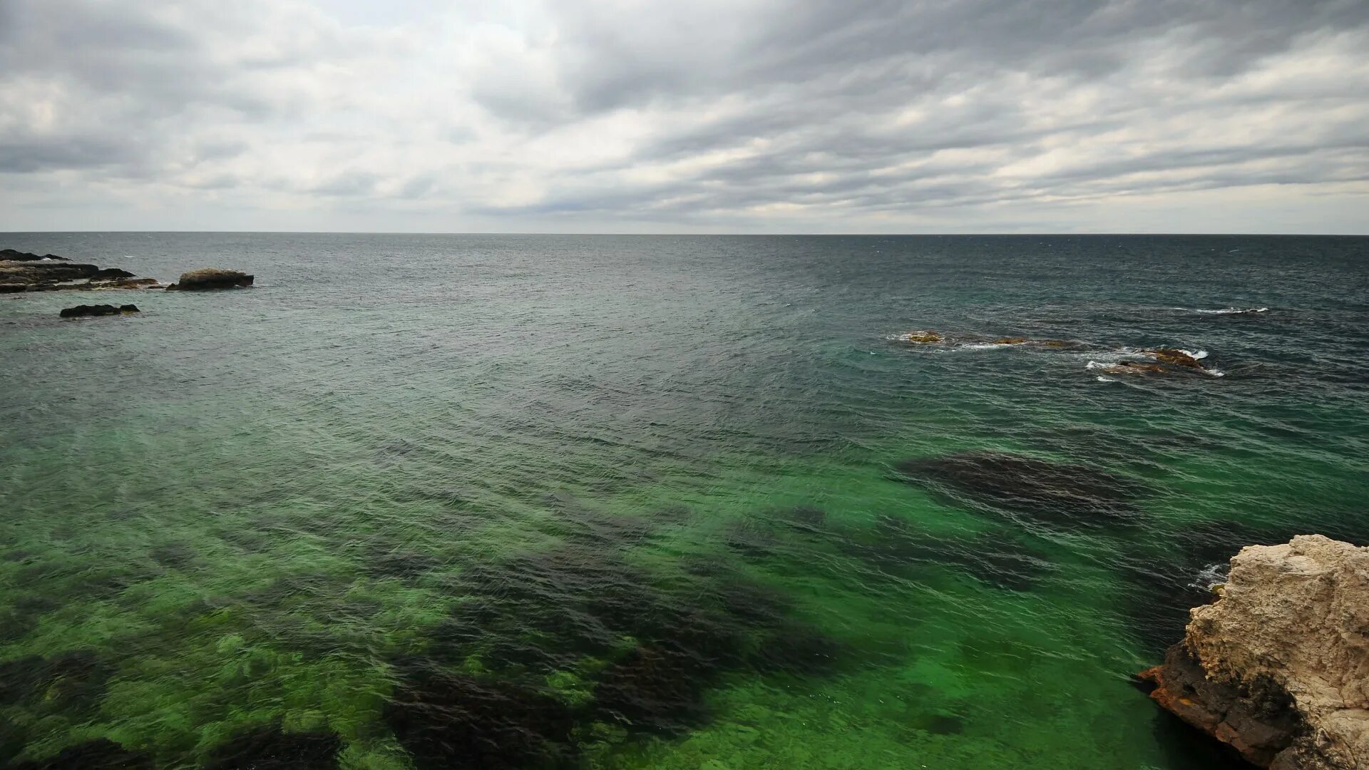 Зеленое море. Севастополь море. Зеленое море в Крыму. Обои на рабочий стол море зеленое.