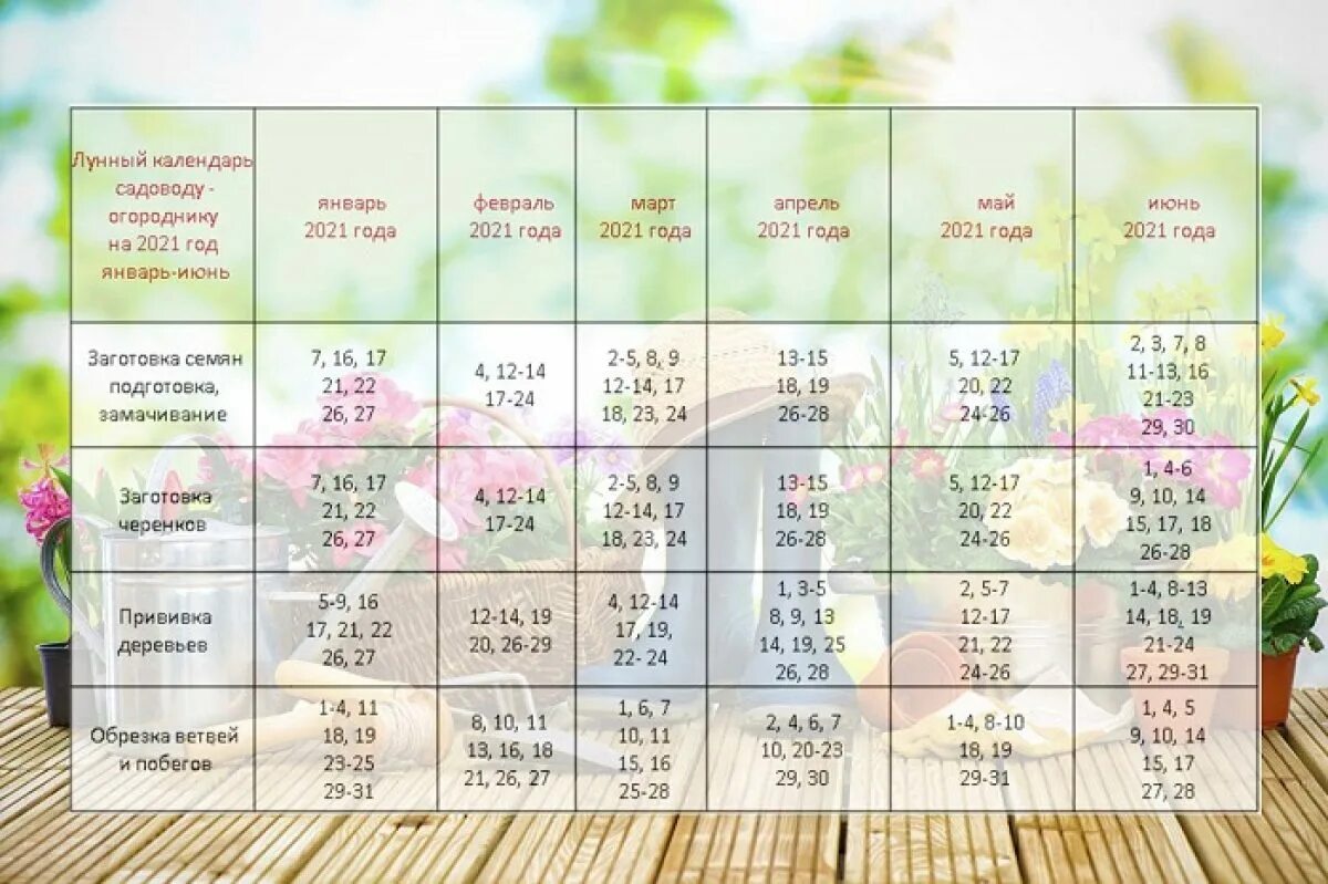 Благоприятные дни посадки в январе 2025 года. Лунный календарь 2025 садовода и огородника. лунный посевной календарь на май 2025 года. лунный календарь посевной на 2025 садовода и огородника. посадочные дни в мае 2025 года благоприятные.