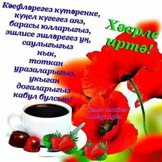 Салават туган якларыма
