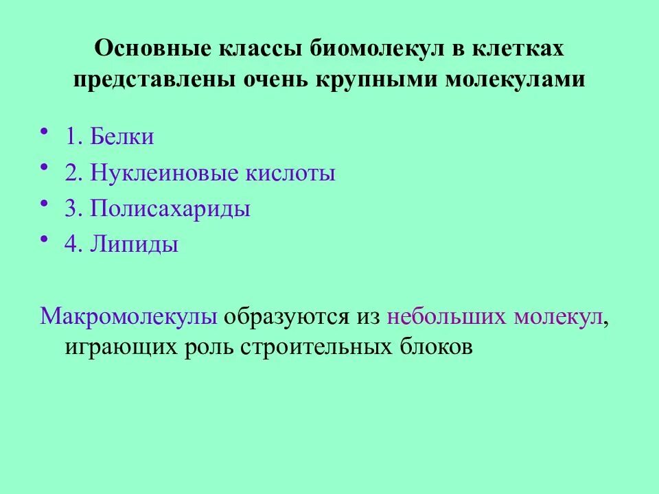 Биологически активные макромолекулы. Конформации днк. Структурная единица макромолекула. Их роль в клетках. Молекулярно-генетический критерий.
