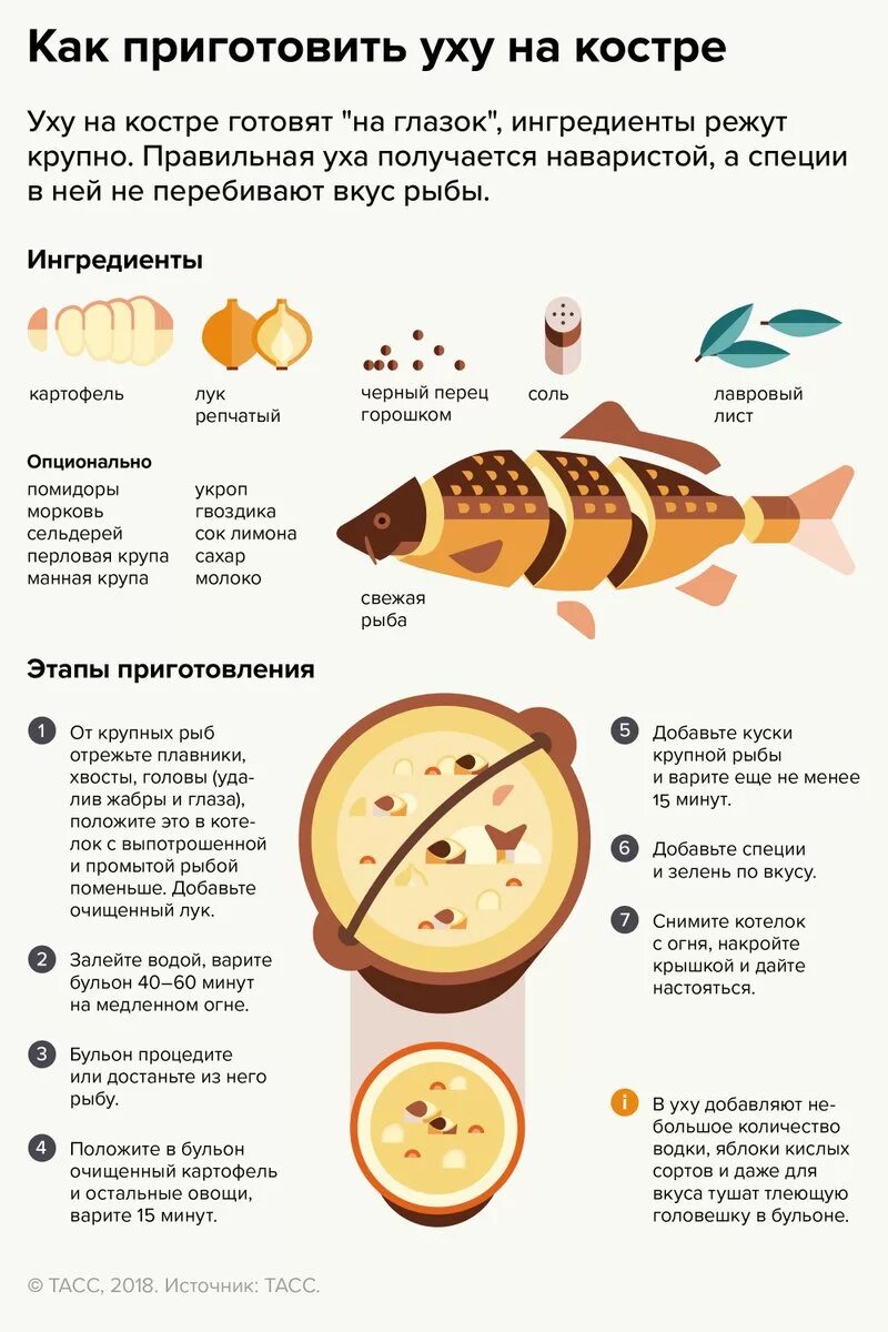 Какая рыба для супа. Рыба инфографика. Приготовление рыбы. Порядок приготовления ухи. Интересный рецепт из рыбы.