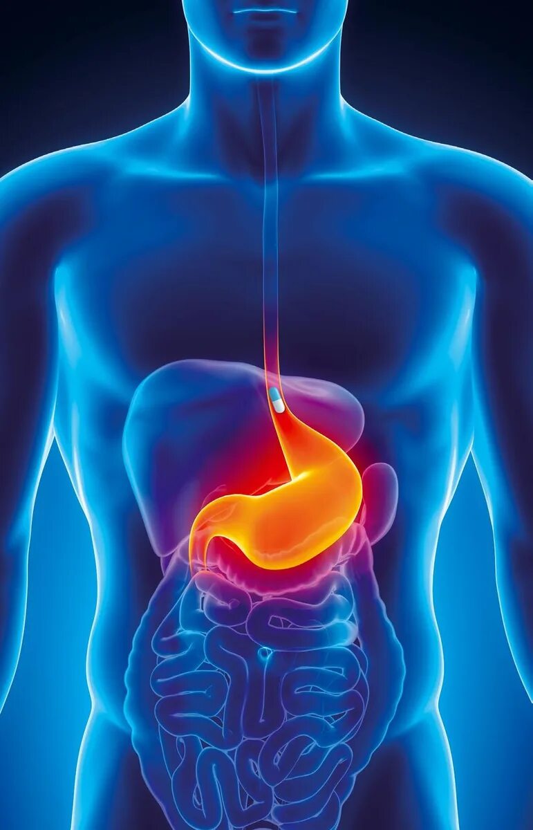 Руна исцеление пищеварение. Медитация для жкт исцеления. Медитация для жкт исцеления. Программа исцеления жкт. Исцеление желудочно кишечного тракта.