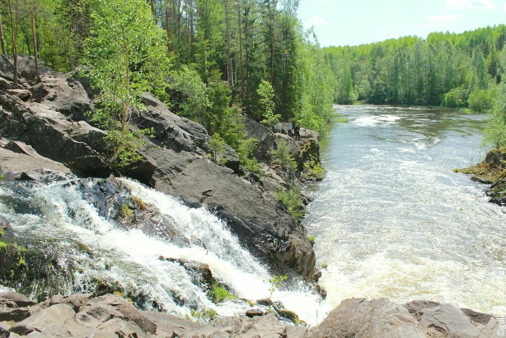 Кивач как добраться. Заповедник кивач в карелии. водопад кивач. заповедник кивач в карелии фото.