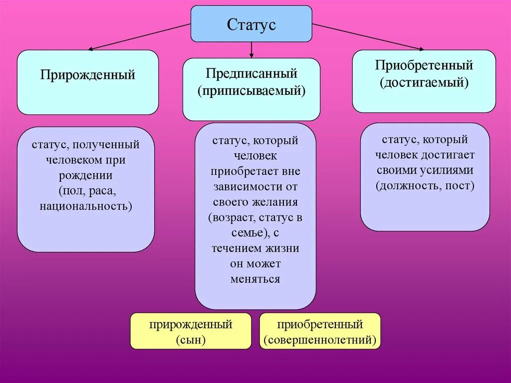 Предписанный и достигаемый статус. Достигаемые социальные статусы примеры. Прирожденные и приобретенные статусы. Приписываемый статус примеры.