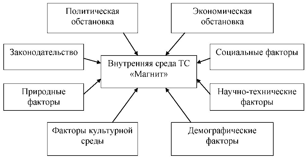 Внутренняя и внешняя среда компании. Факторы внешней среды магазина. Анализ внешней среды магнит. Влияние факторов внешней среды на деятельность предприятия. Факторы маркетинговой деятельности