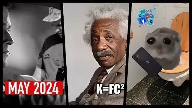 Coub 2024