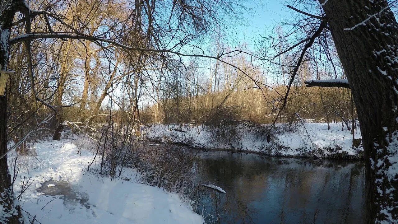 Где находится река сходня. Река сходня химки. река сходня в митино. зима реки сходня парк. сходня разлив реки куркино.