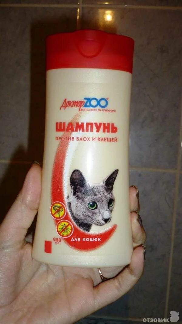 Шампунь от блох для кошек какой лучше. Шампунь для котят. шампунь для котят от блох и клещей. блохи шампунь.