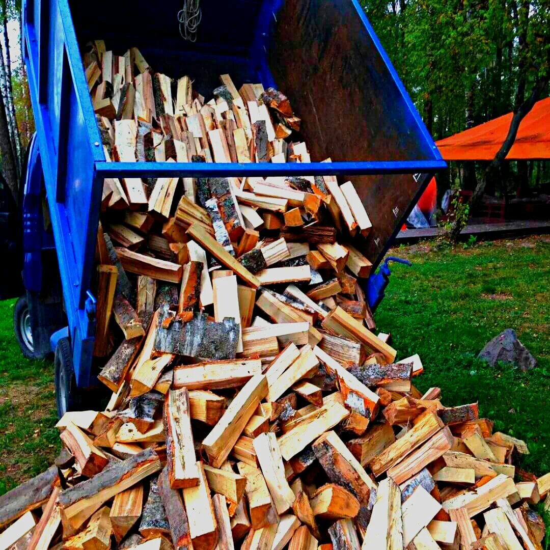 Дрова береза. Сухие березовые дрова. Дрова берёзовые колотые. Камаз дров 10 кубов. Дрова береза.