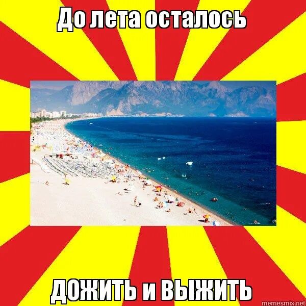 сыромятников доживем до понедельника. с. давай доживем до лета. доживем до понедельника соколова. давай доживем до лета.