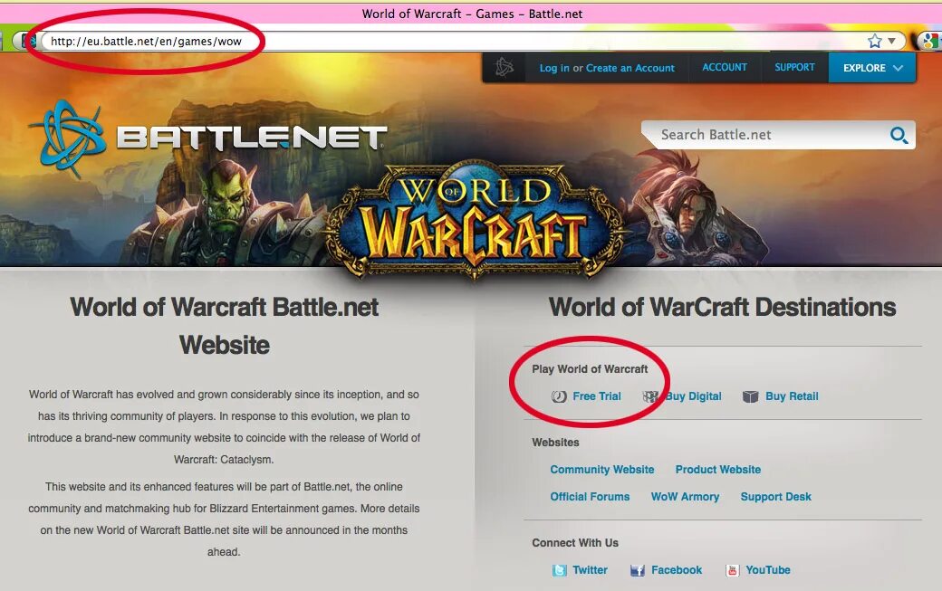 Создать аккаунт wow. Wow battle net лаунчер. eu battle net wow. реферальный код world of warcraft. серийный номер battle net.