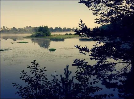 Кубань кострома