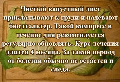 Капустный лист на молочную железу