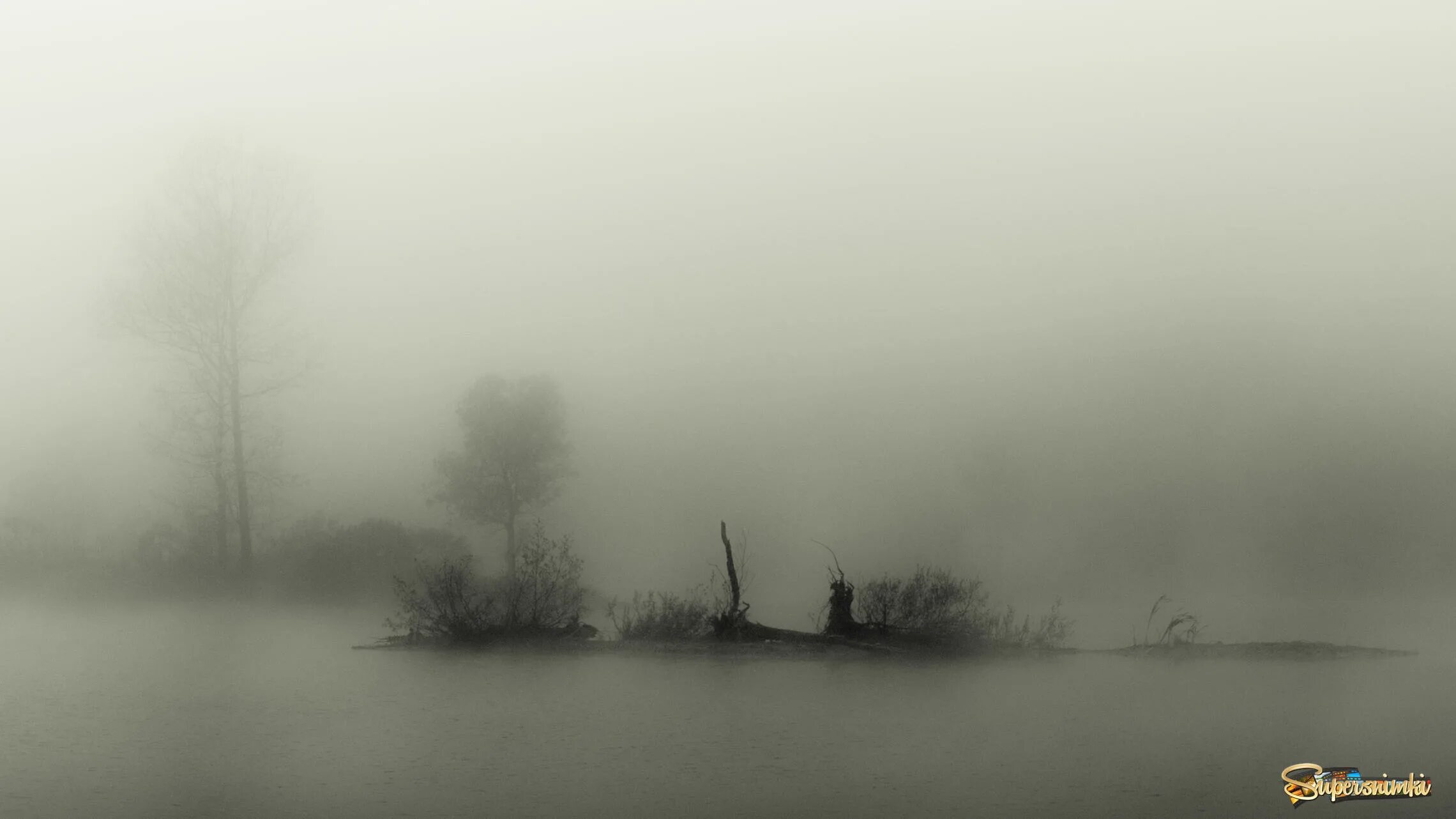 Зги п. Зги п. Лошадь в санях. Не видно ни зги. Лошадь заряженный в сани.