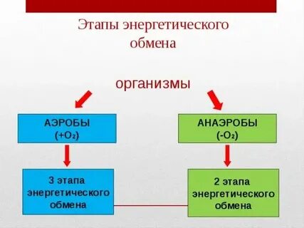 Энергетически эффективные
