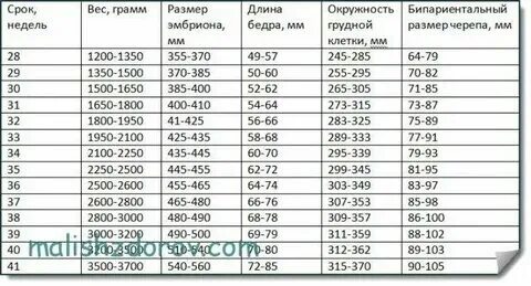 Масса ребенка на 32 неделе беременности. Масса ребенка на 32 неделе беременности. 30 недель беременности прибавка в весе норма. Масса ребенка на 32 неделе беременности. Вес плода в 32 недели беременности норма таблица.