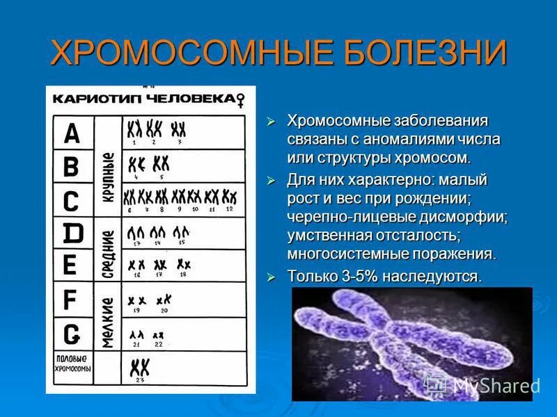 Изменения первой хромосомы