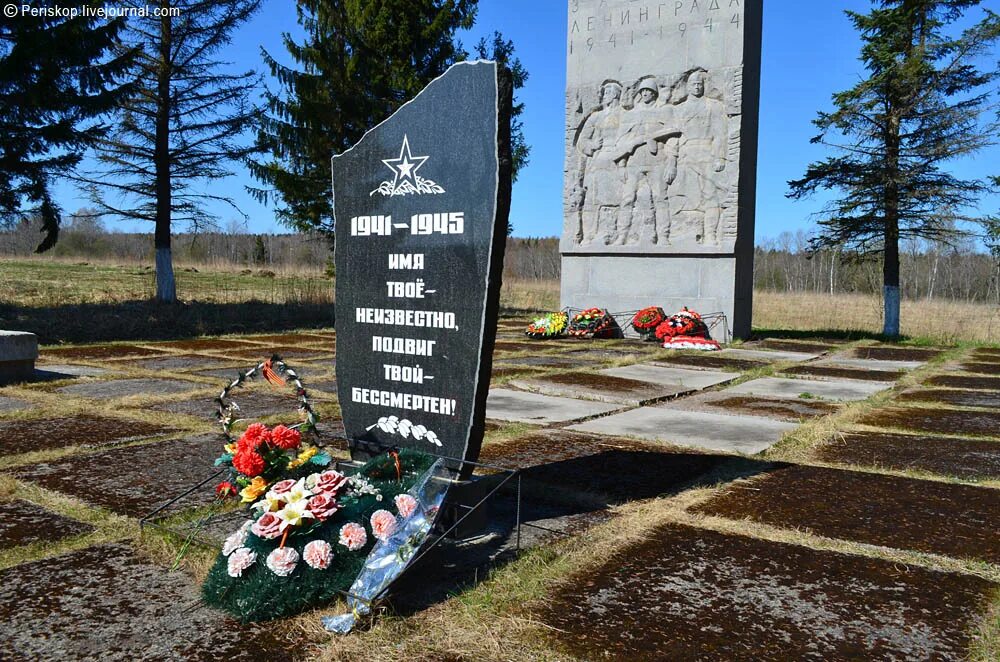 Ораниенбаумский плацдарм. Ораниенбаумский плацдарм 1944. памятники ораниенбаумского плацдарма. ораниенбаумский плацдарм 1943. ораниенбаумский плацдарм красная горка.