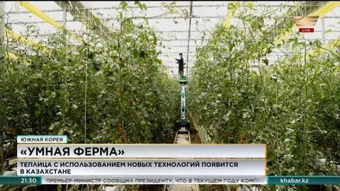 В каком городе появилась умная теплица