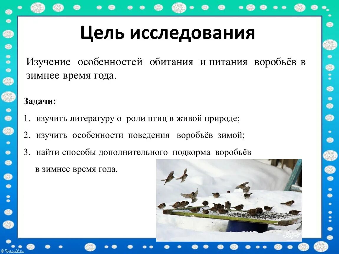 Как зимует Воробей. Как зимует Воробей проект. Как зимует Воробей исследовательская работа.