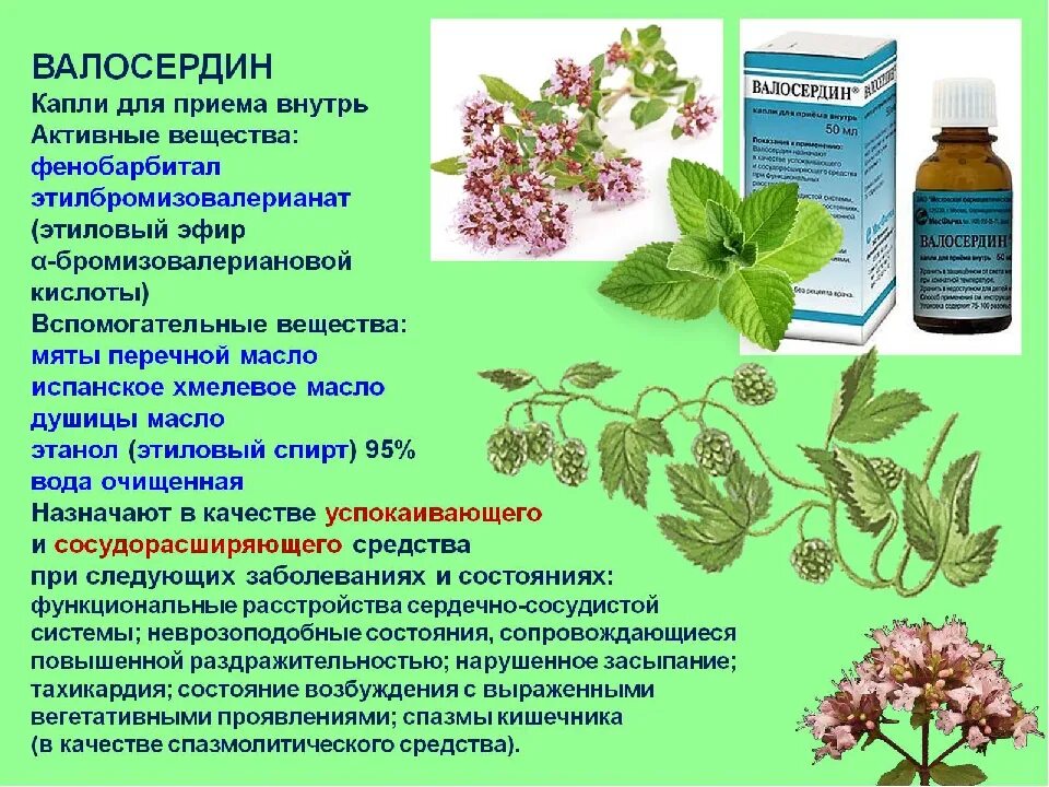 Растительные седативные средства. Корвалол валокордин Валосердин. Капли сердечные Валосердин. Растительные седативные препараты. Препараты мяты.