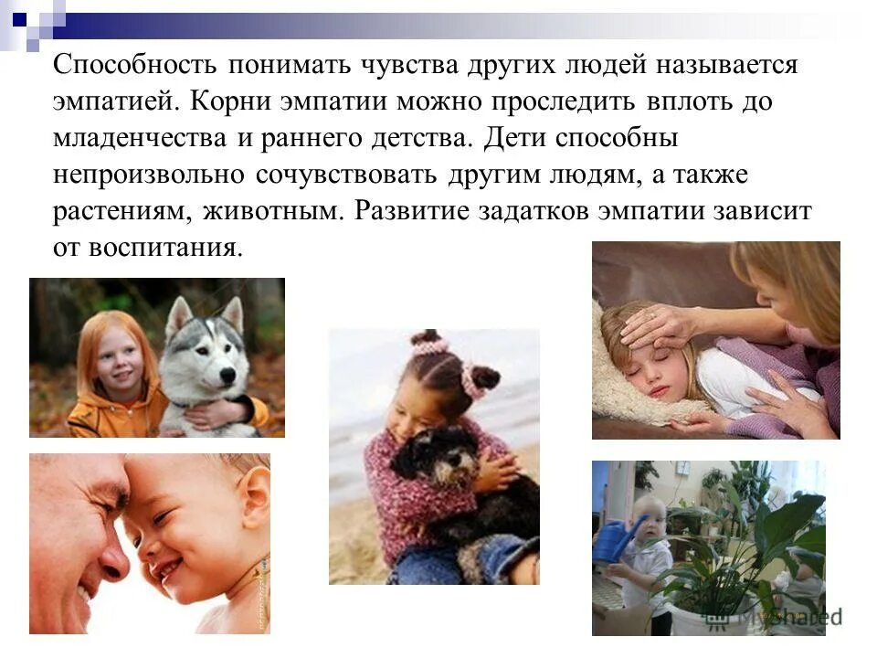 Zoo: the missing vip. зоопсихолог профессия. добрые поступки. способности понимать животных. всё могу фильм.