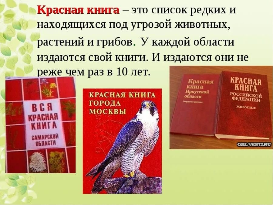 Ведение красных книг. Красная книга. Красная книга для детей. Обложка красной книги России. Информация о красной книге.