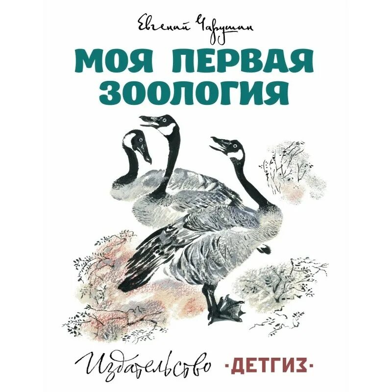 Книга моя первая зоология чарушин. Книга моя первая зоология чарушин. Моя первая зоология о каких птицах. Чарушин моя первая зоология. Книжку моя 1 зоология.