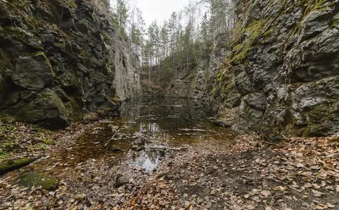 Лог контакты