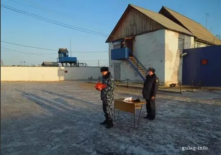 24 колония