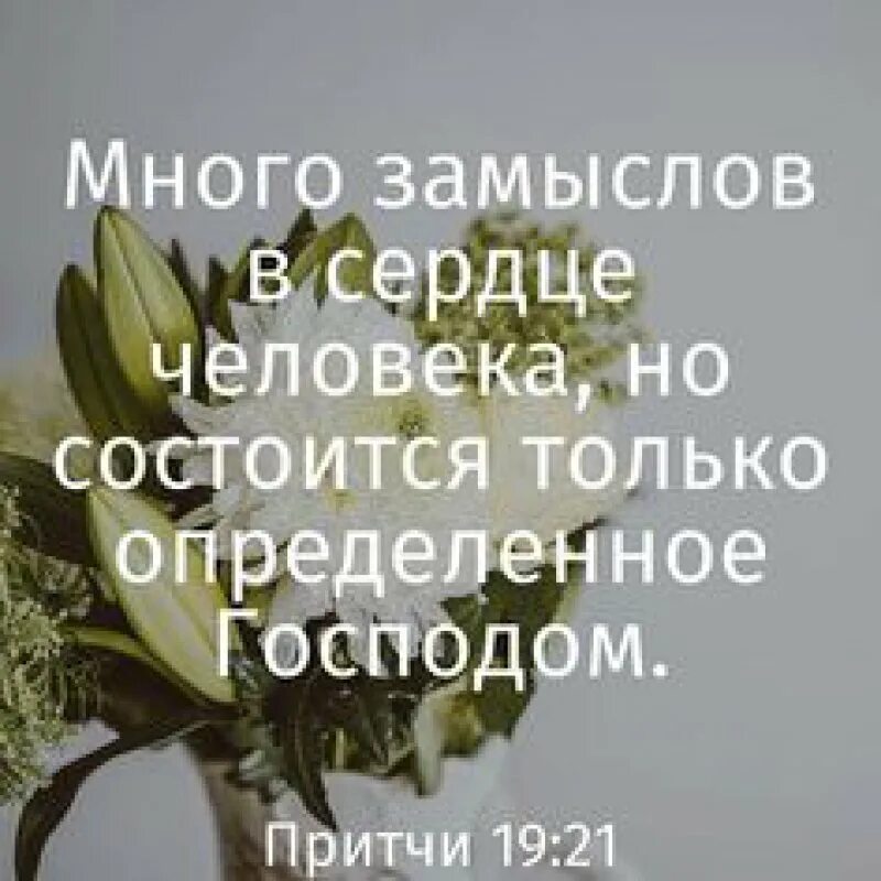 Много замыслов в сердце человека но состоится. Верно и всякого принятия достойно. верно и всякого принятия достойно слово что христос иисус. иисус христос пришел в мир спасти грешников. много замыслов в сердце человека но состоится только определенное.