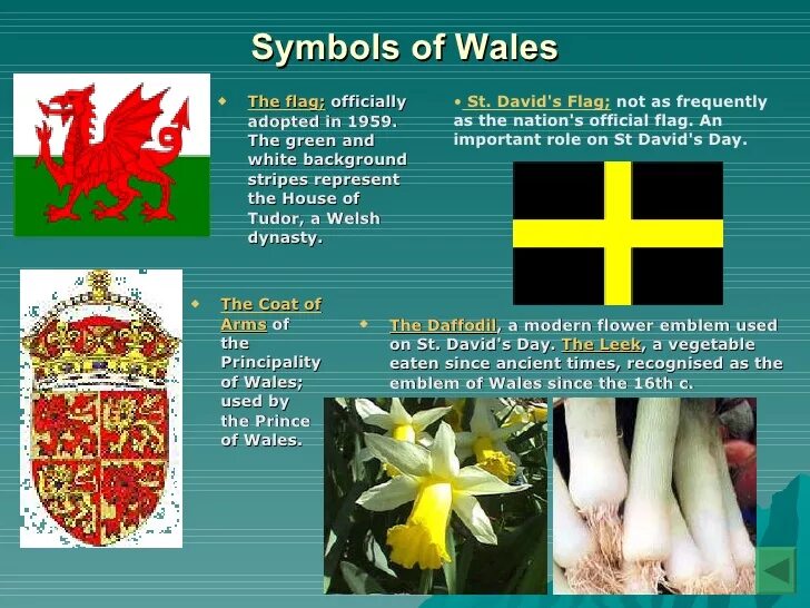 Symbol of wales. Национальная эмблема уэльса. национальный символ wales. неофициальные символы уэльса. wales символ страны.