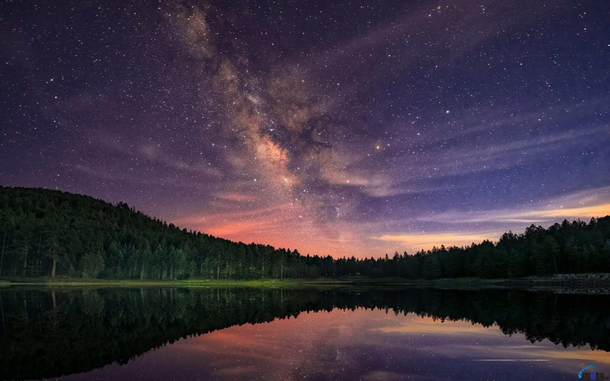 Night Sky & Treeline Night landscape, Night skies, Lake photography