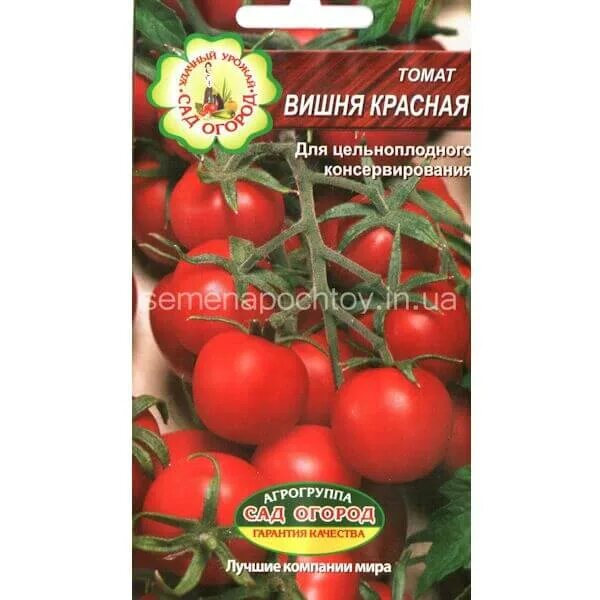 Семена томатов черри ,,рапунцель. Сорт томатов рапунцель. Томат рапунцель семена. Семена помидор черри рапунцель. Характеристика и описание томата рапунцель.