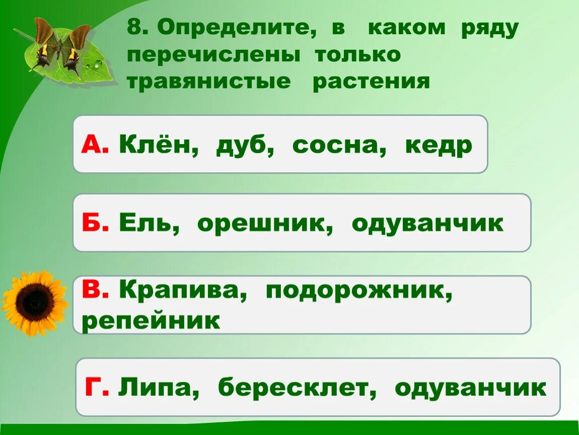 Тест кустики 4 класс с ответами. Растения 2 класс. Растения 2 класс окружающий мир. Растения какие бывают растения. Какие бывают растения окружающий мир.