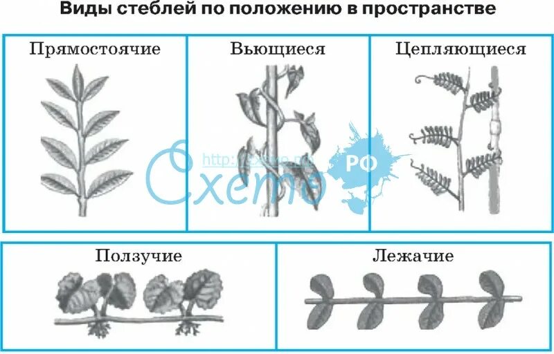 Наука и Техника - Каталог статей - Блог Ильи Винштейна