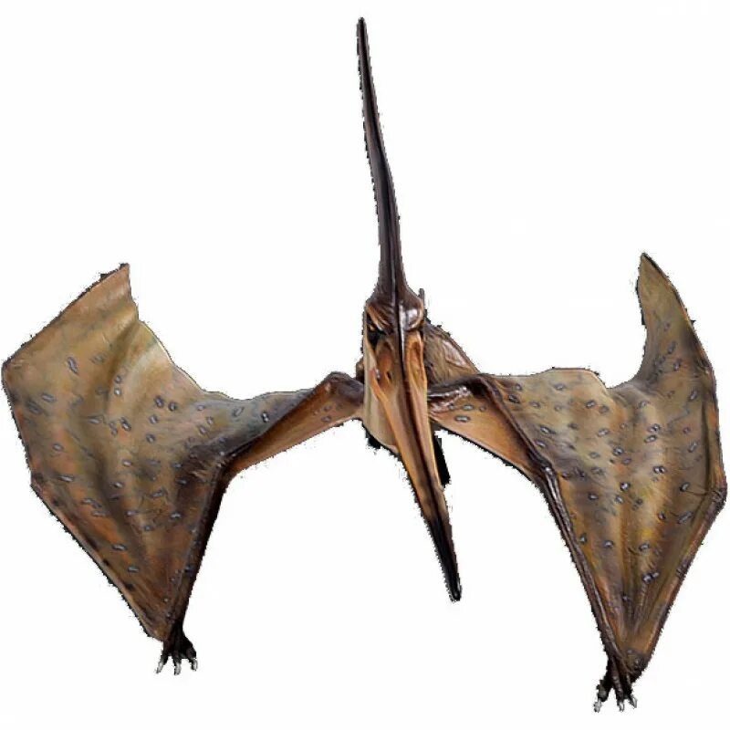 Арк мобайл птеранодон. Птеранодон 1997. На каком уровне седло для птеранодона. Птеранодон арк. Пелагорнис арк.