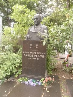 Виноград ивана