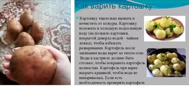 Есть ли вода в картошке