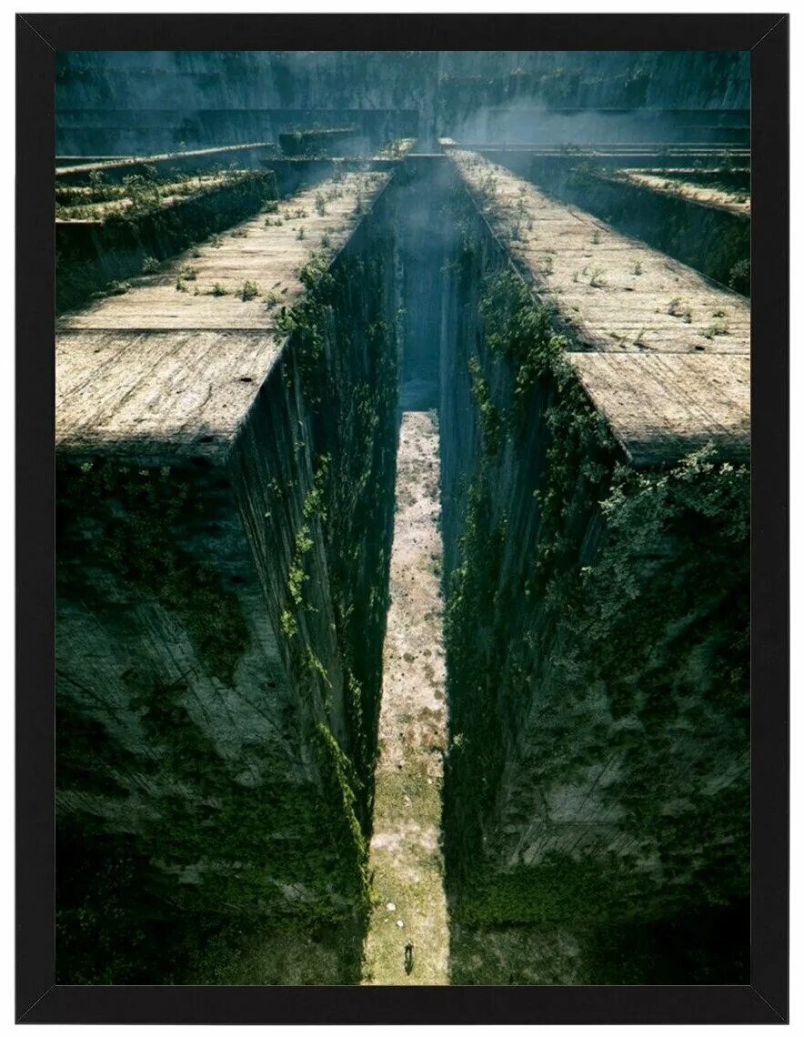 Maze run