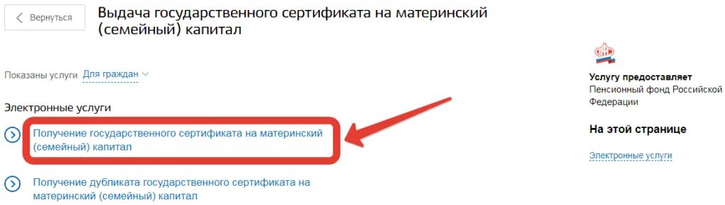 Как выглядит сертификат в электронном виде. Материнский сертификат на госуслугах. сертификат на материнский капитал через госуслуги. сертификат на материнский капитал на госуслугах. сертификат материнский капитал госуслуги.