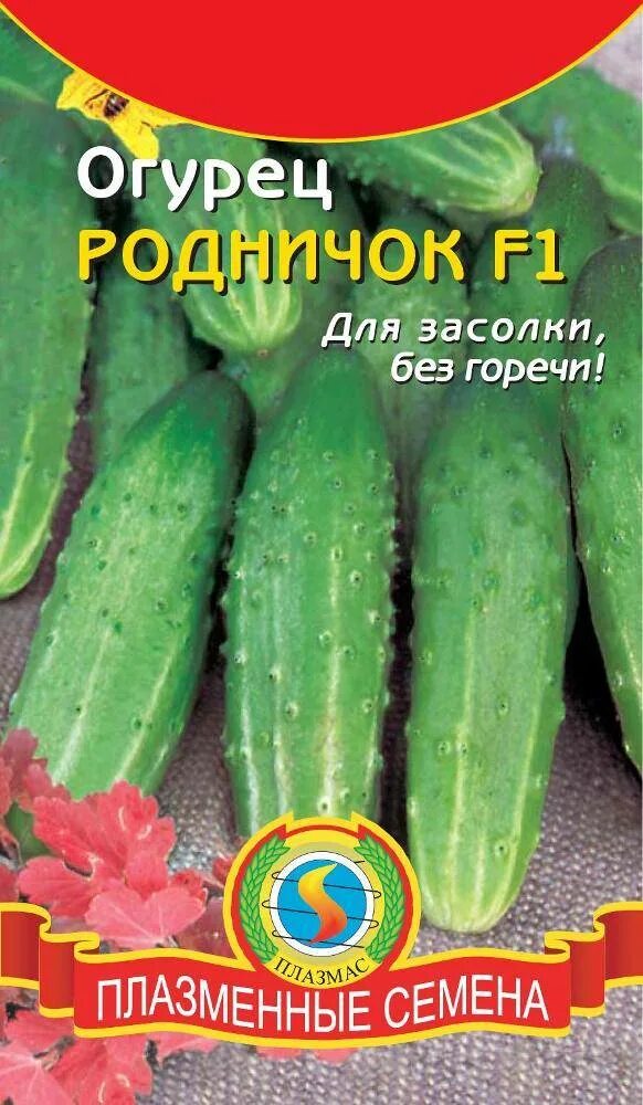 Огурцы родничок f1 (гибрид). Огурец родничок f1. Огурец родничок f1. Огурец родничок f1. Сорт огурцов родничок.