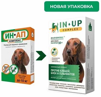 Капли от глистов для собак